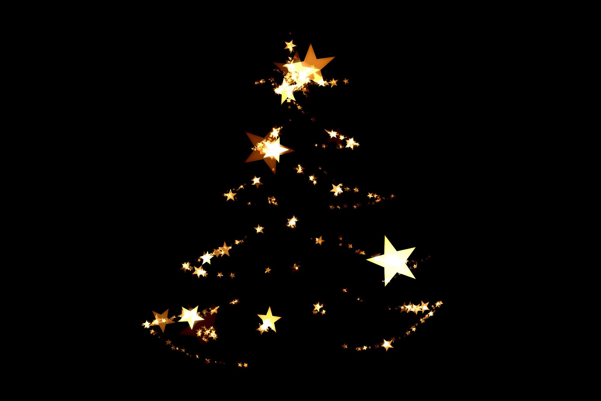 Christmas tree | Ireland Private Guided Tours